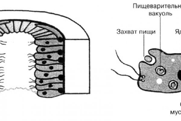 Кракен сайт kr2web